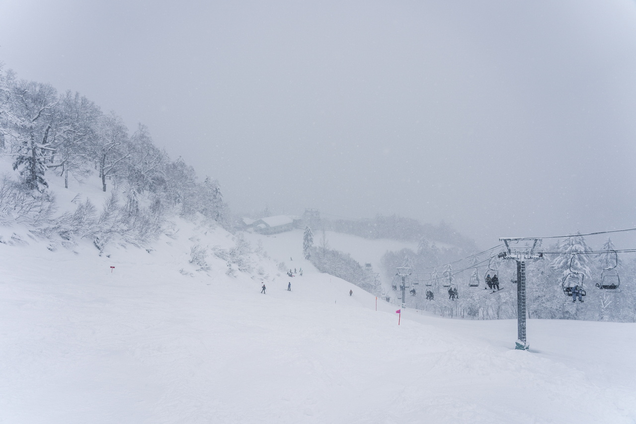 富良野スキー場｜数字以上に良い雪たっぷり！いよいよ『bonchi powder』本領発揮の季節到来です！